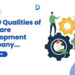 Software Development Company